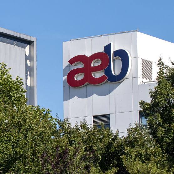 AEB corporatised